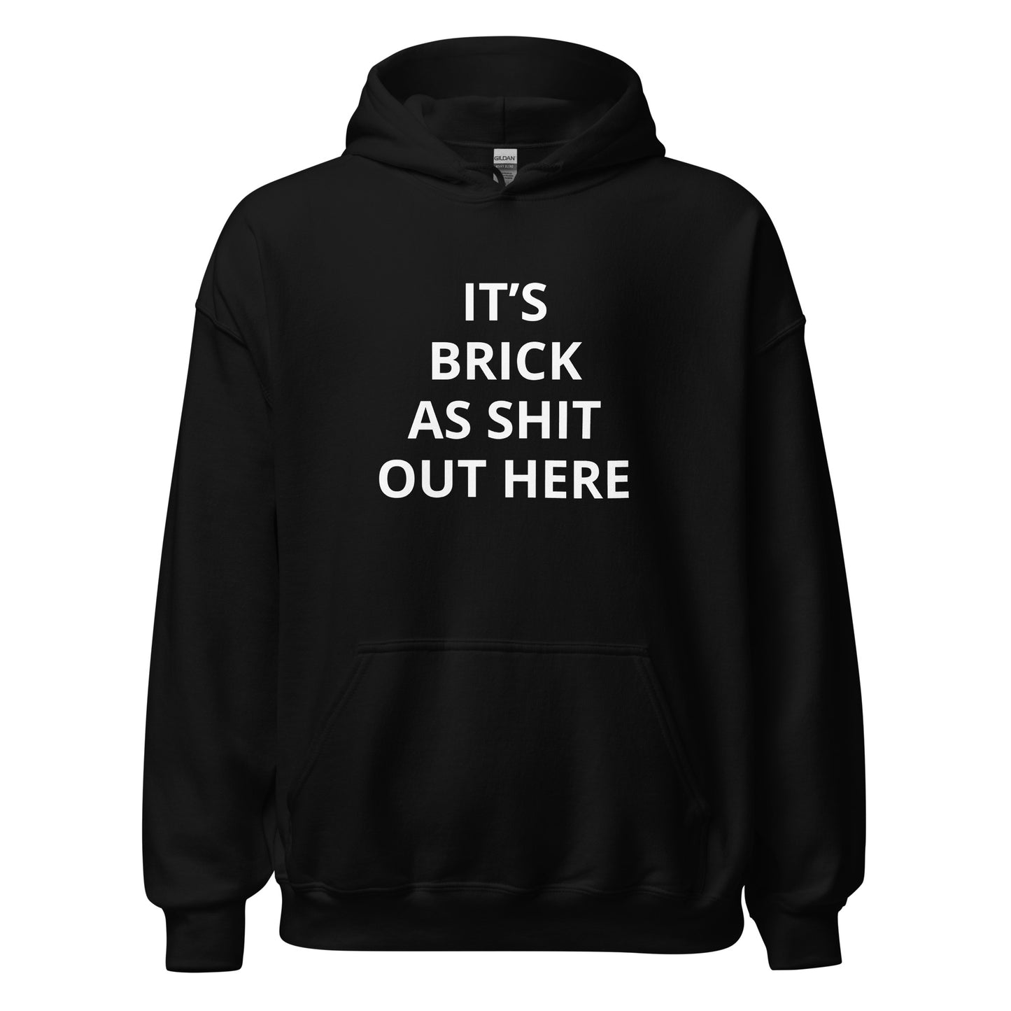 "It's Brick As Shit Out Here" Hoodie