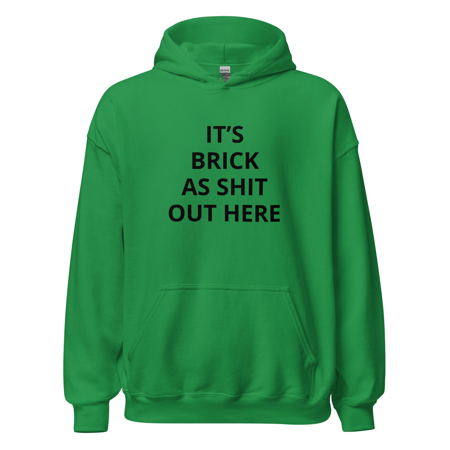 "It's Brick As Shit Out Here" Hoodie