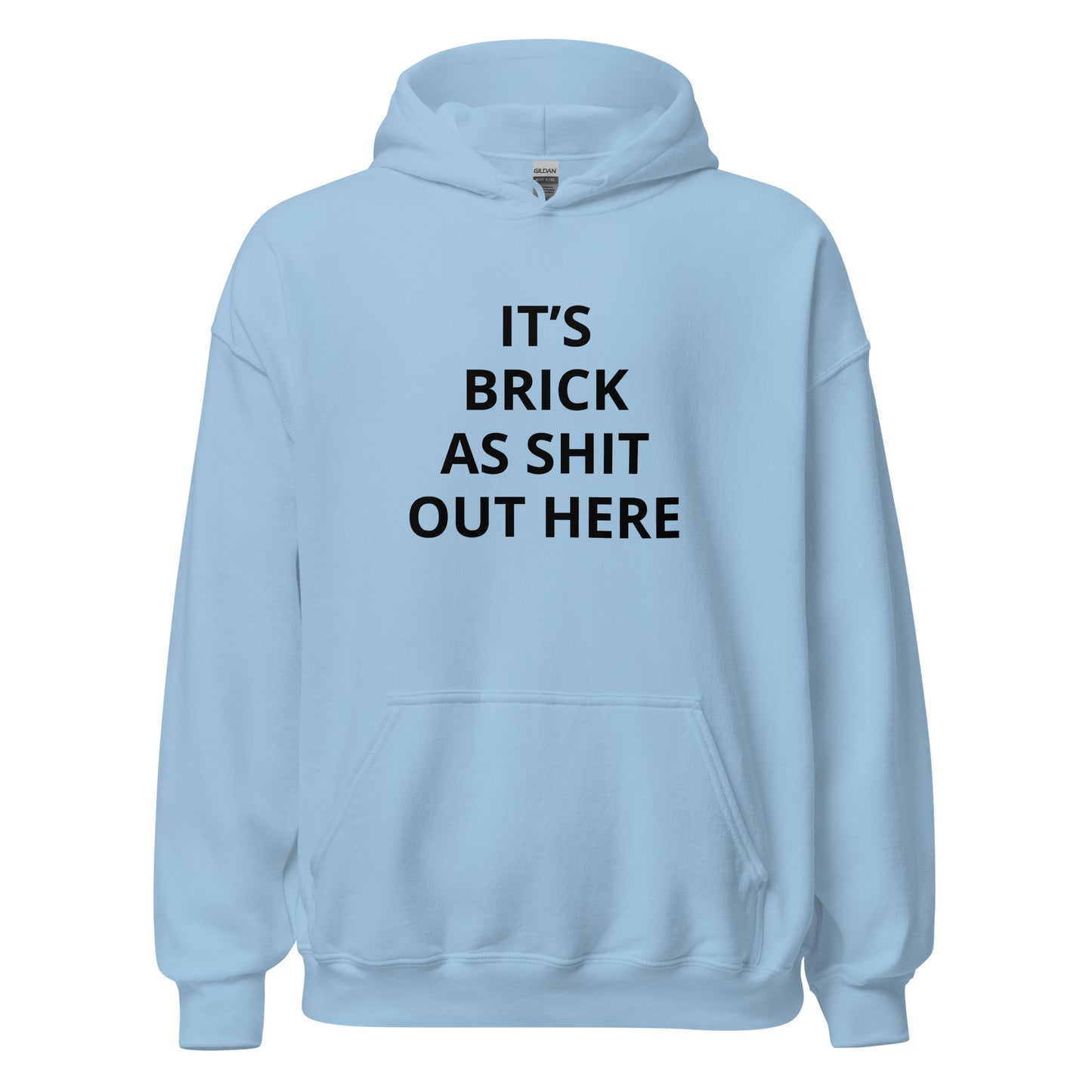 "It's Brick As Shit Out Here" Hoodie