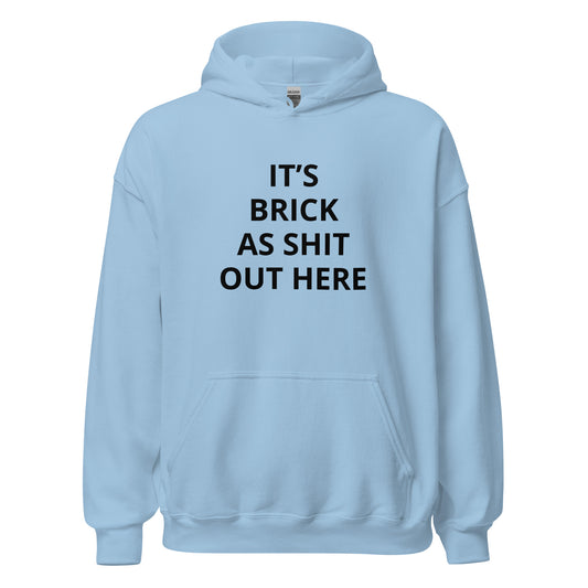 "It's Brick As Shit Out Here" Hoodie