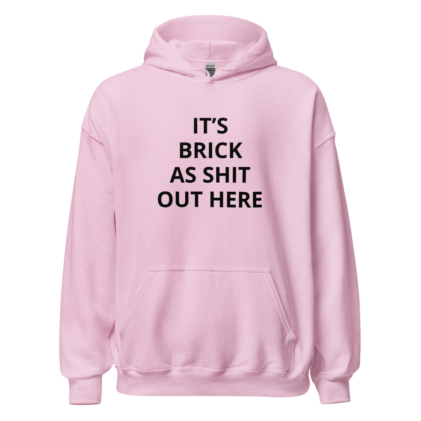 "It's Brick As Shit Out Here" Hoodie