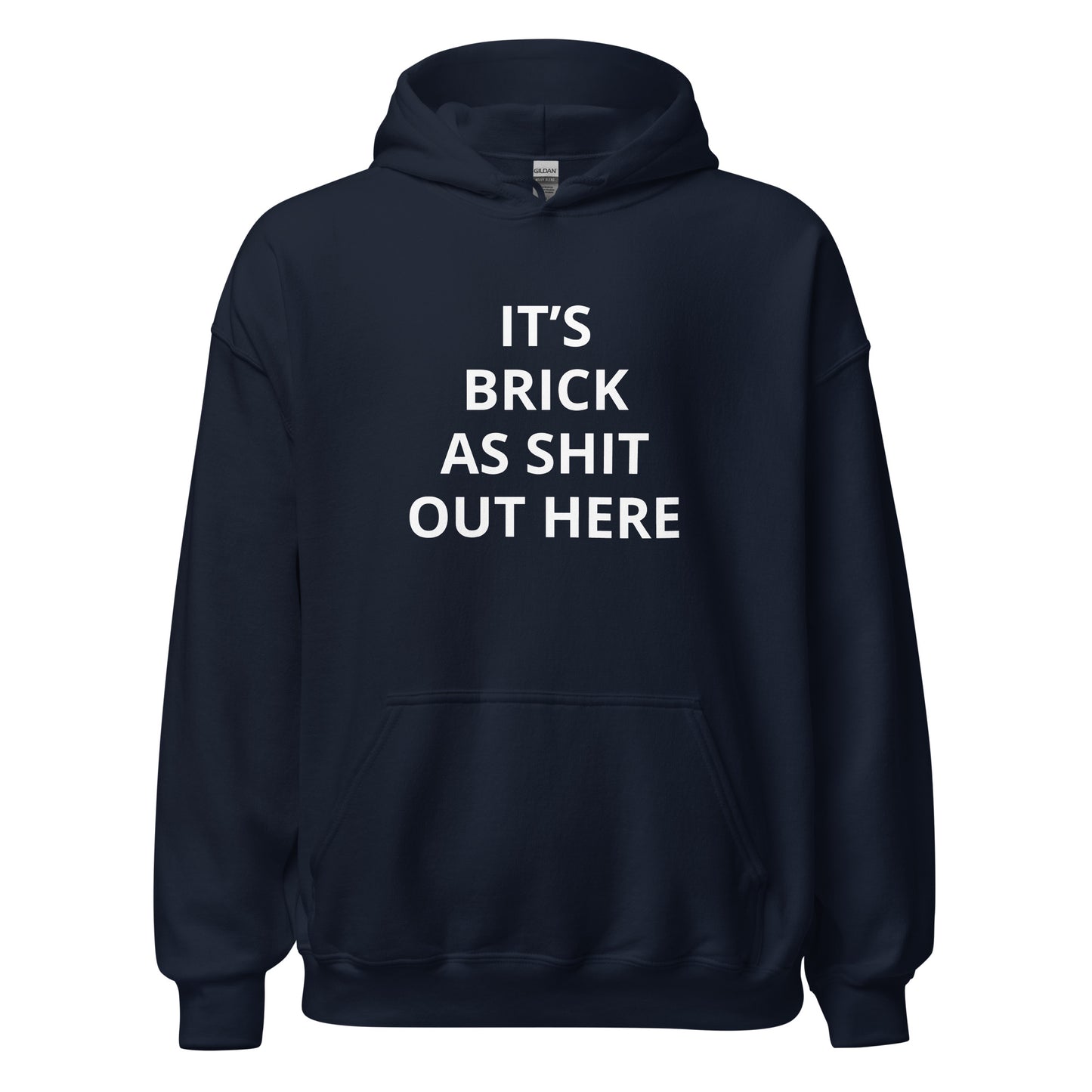 "It's Brick As Shit Out Here" Hoodie