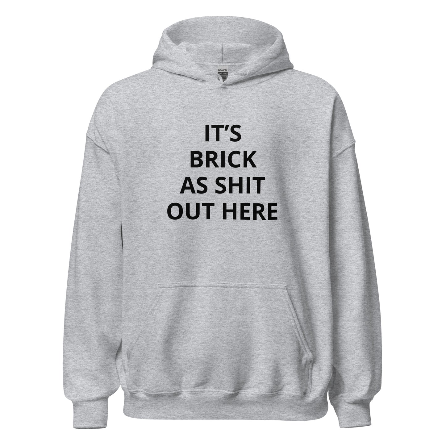 "It's Brick As Shit Out Here" Hoodie