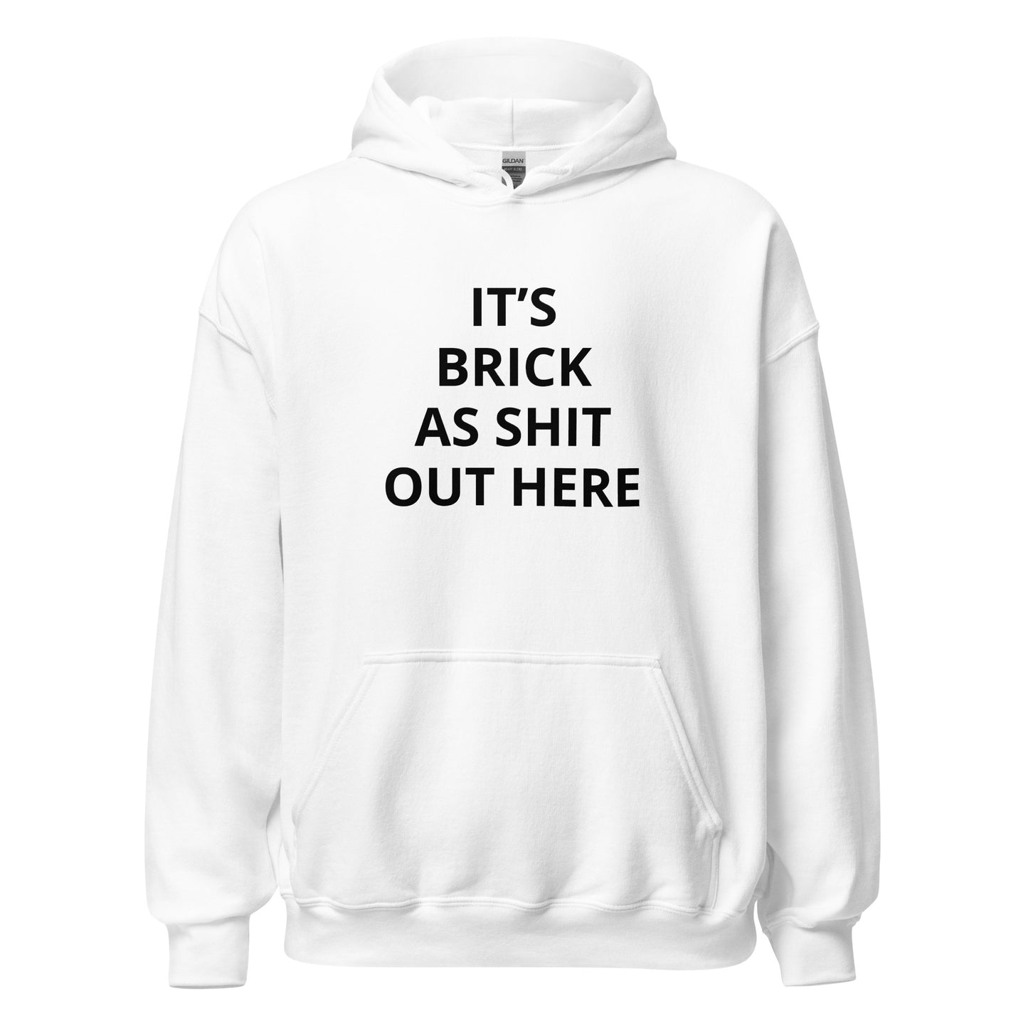 "It's Brick As Shit Out Here" Hoodie